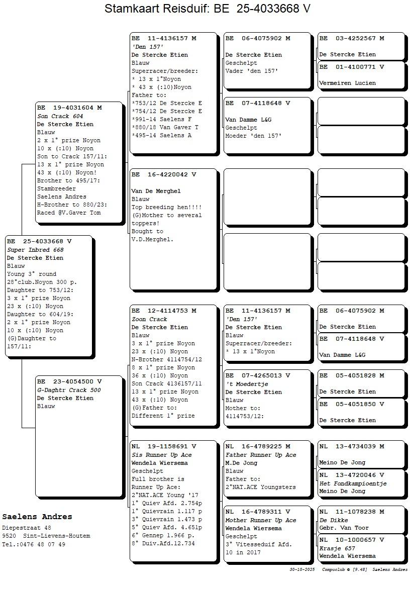 Koop 21 (4033668_25) duivin