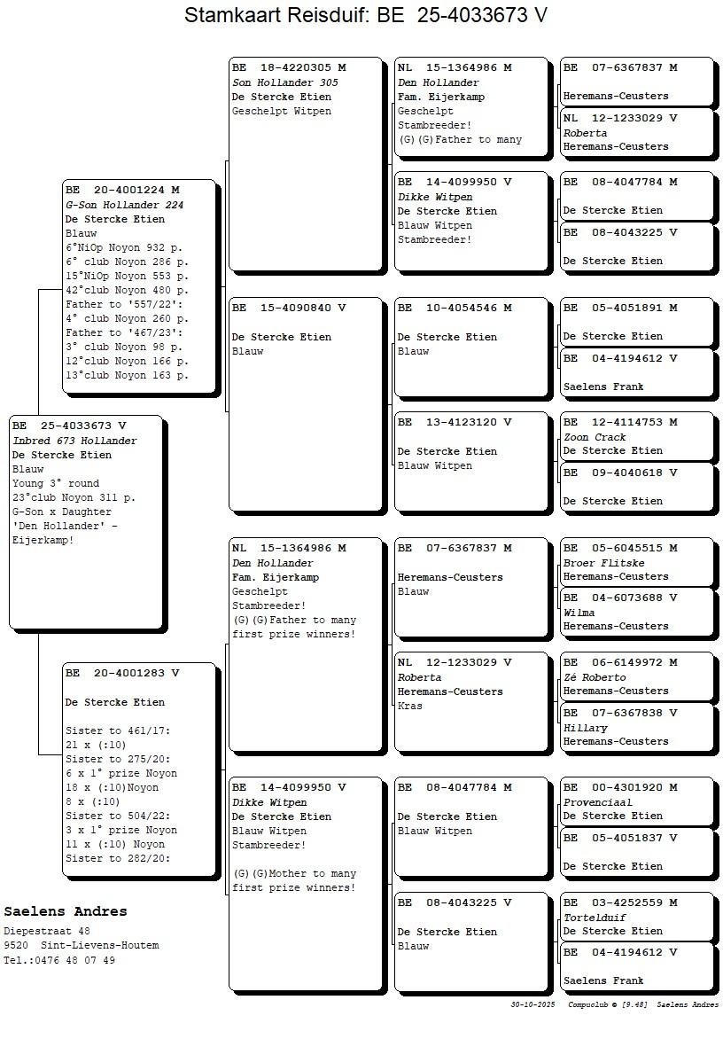 Koop 23 (4033673_25) duivin