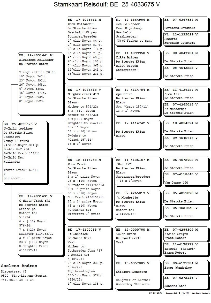 Koop 24 (4033675_25) duivin