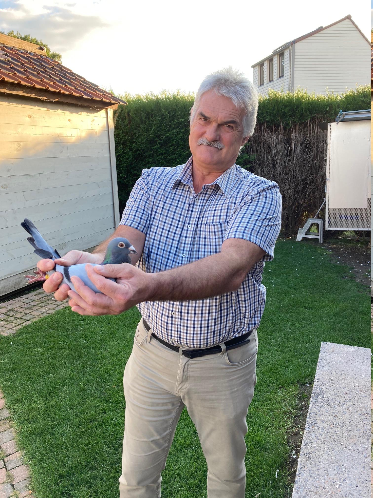 Danckaert Ronnie	 (Essene ) schenkt een jonge duif 2026 op afspraak .