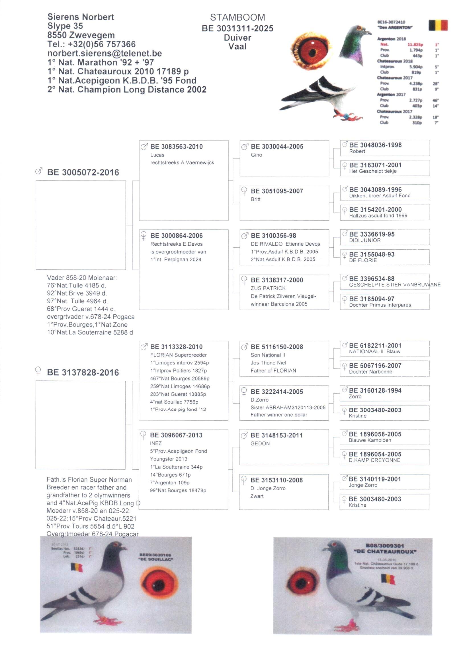 Koop 3 - BE25-3031311