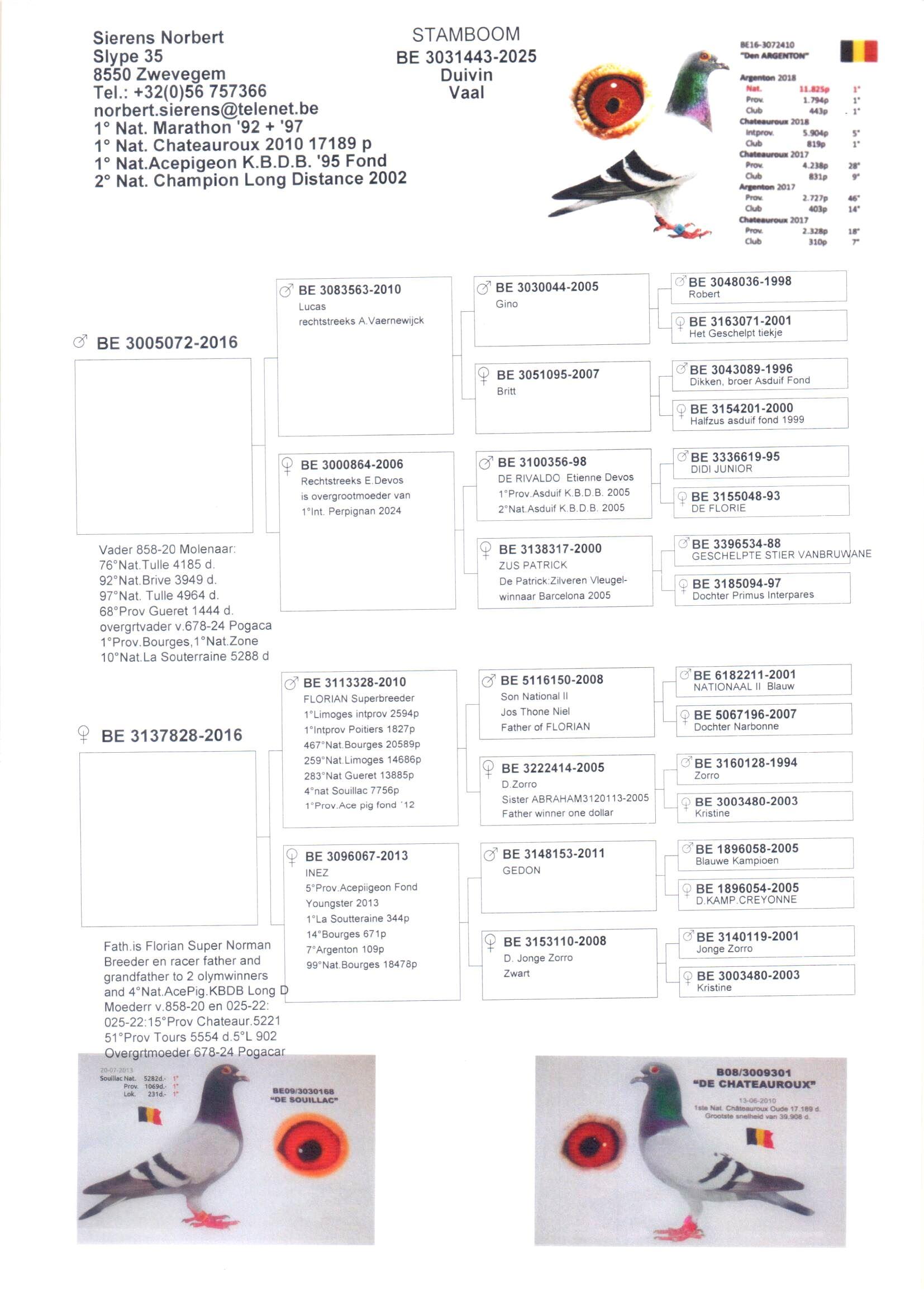 Koop 21 - BE25-3031443