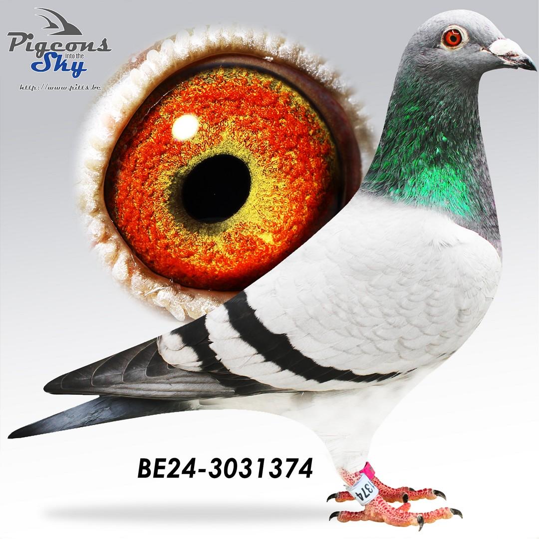 BE24-3031374