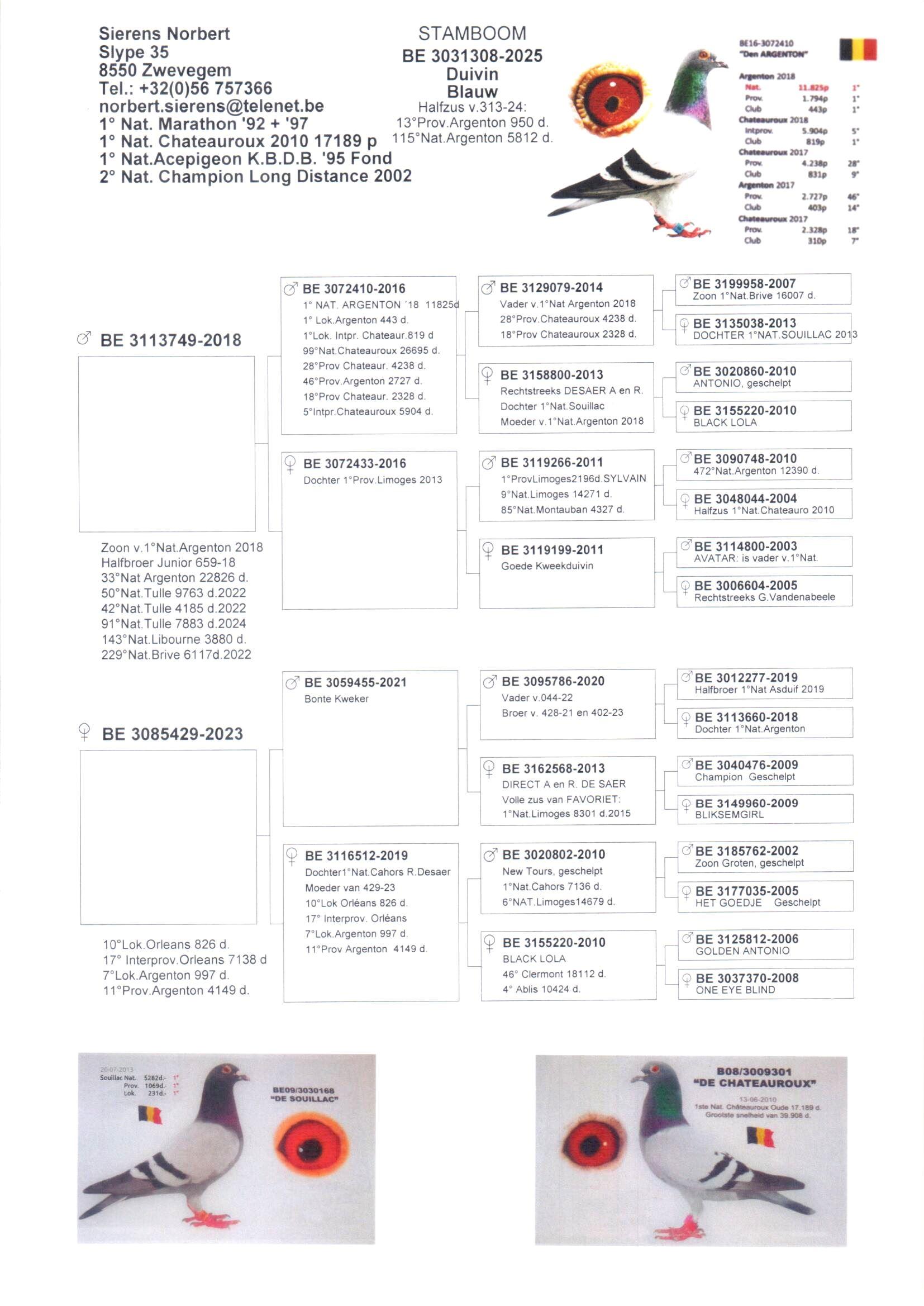 Koop 10 - BE25-3031308