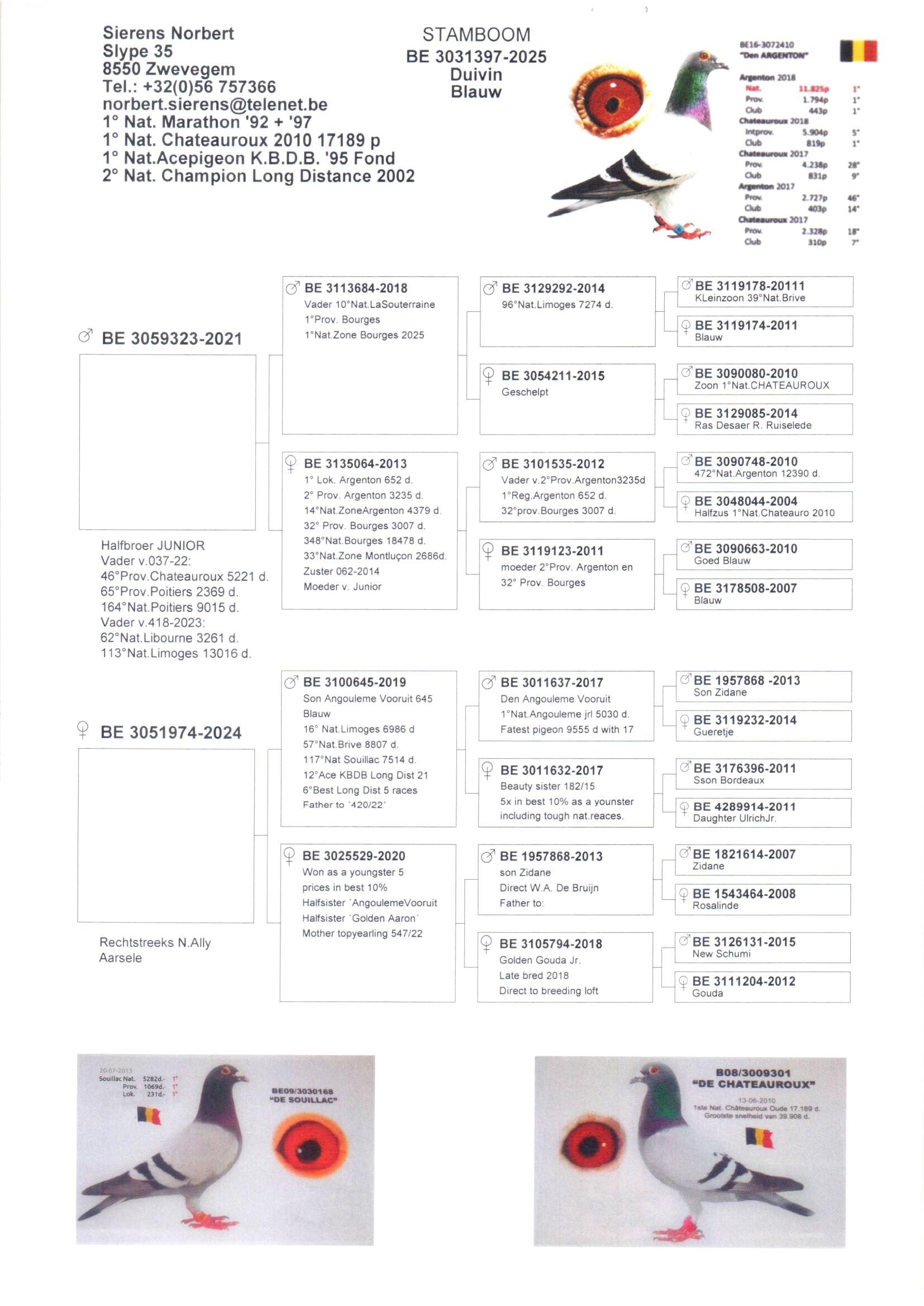 Koop 17 - BE25-3031397