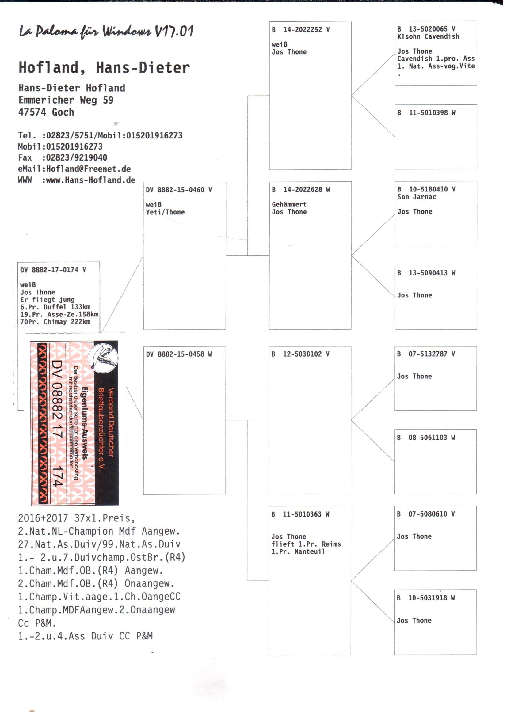 DV 08882-17-174 MDui