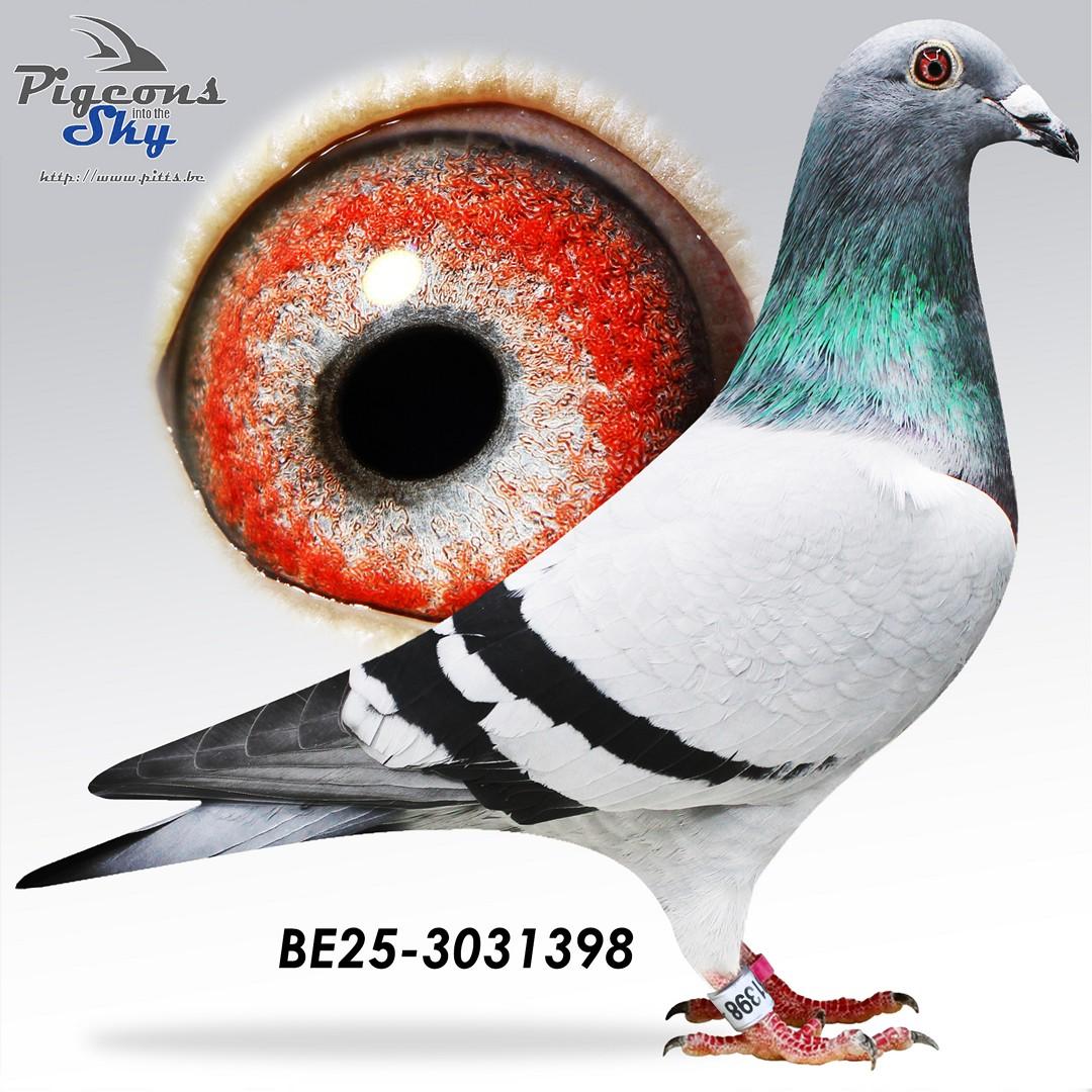 BE25-3031398