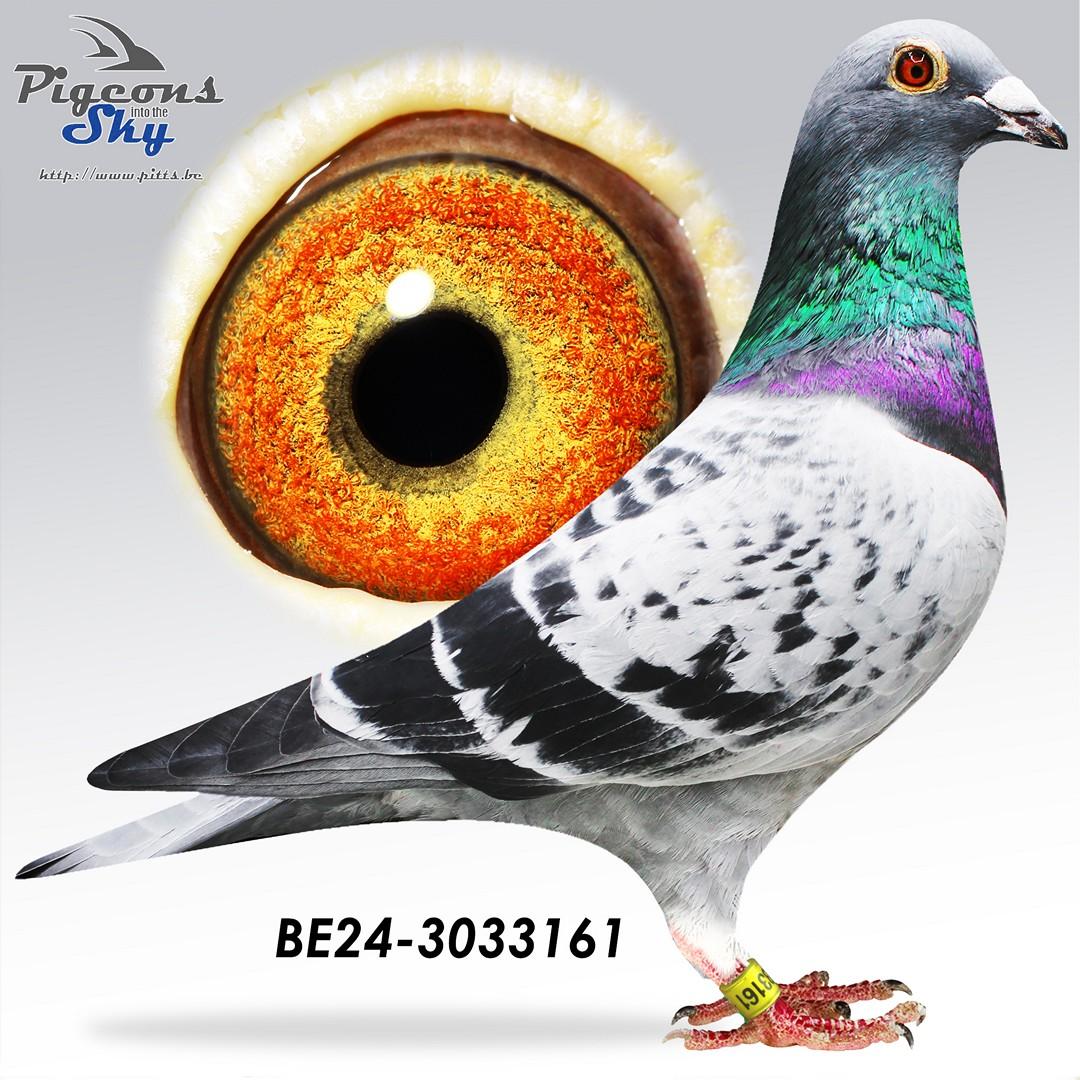 BE24-3033161