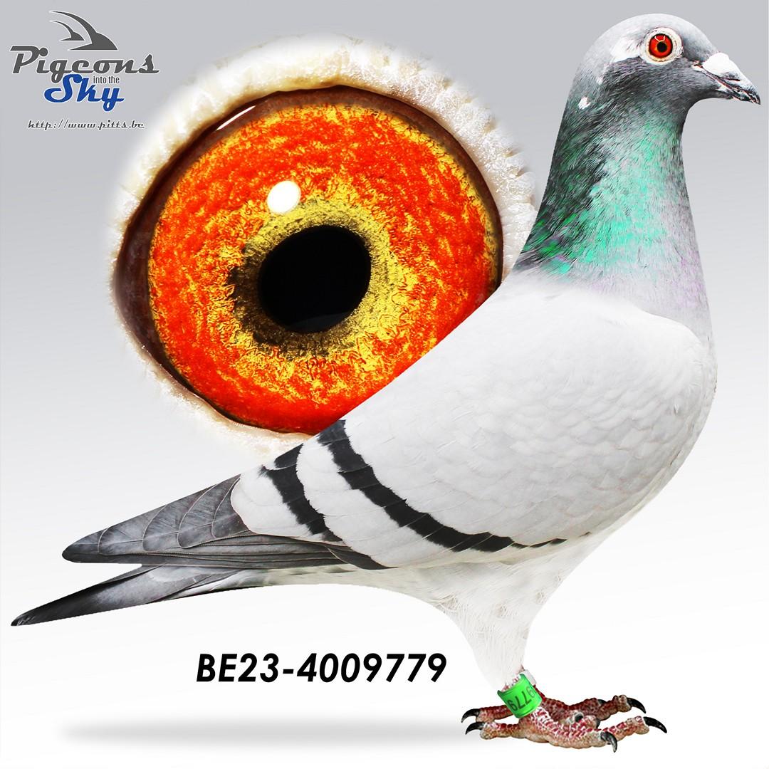 BE23-4009779