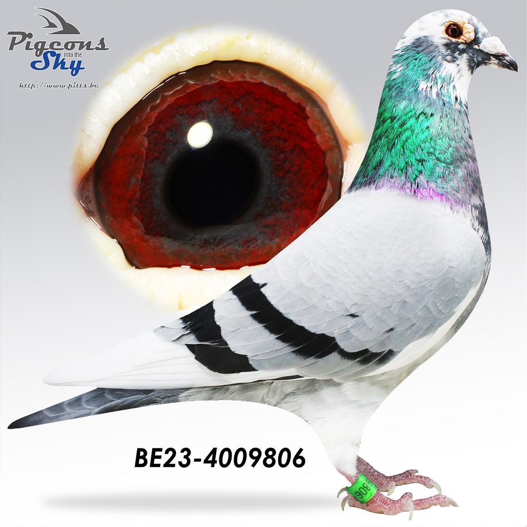 BE23-4009806