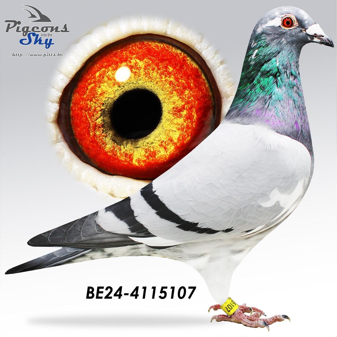 BE24-4115107