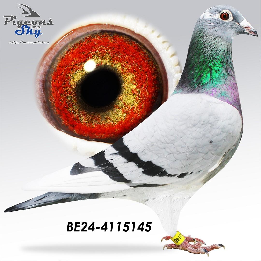 BE24-4115145