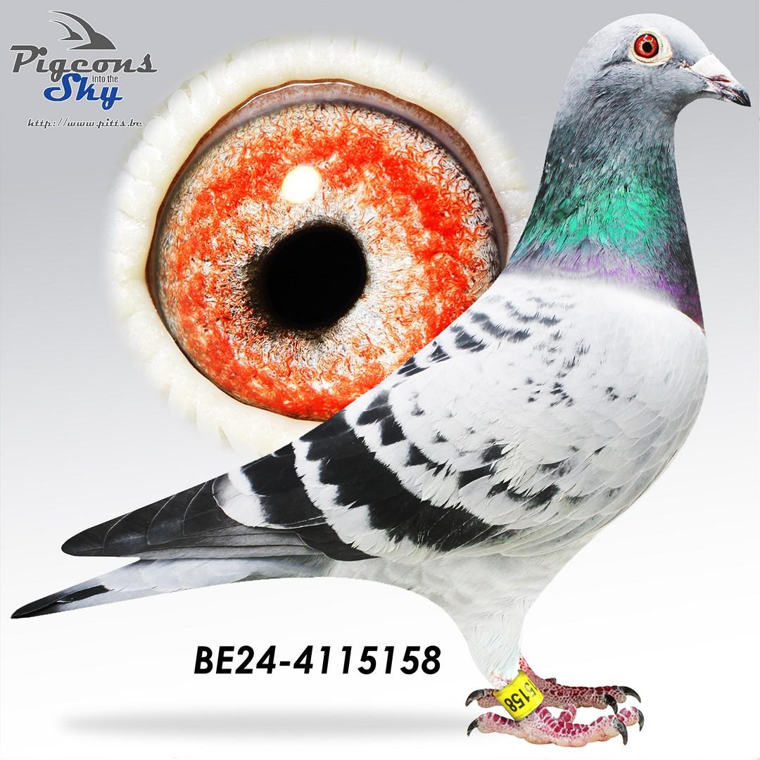BE24-4115158