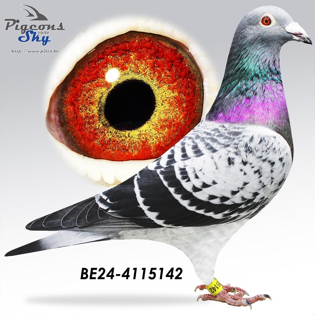 BE24-4115142