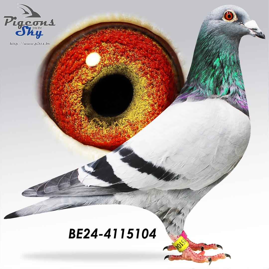 BE24-4115104