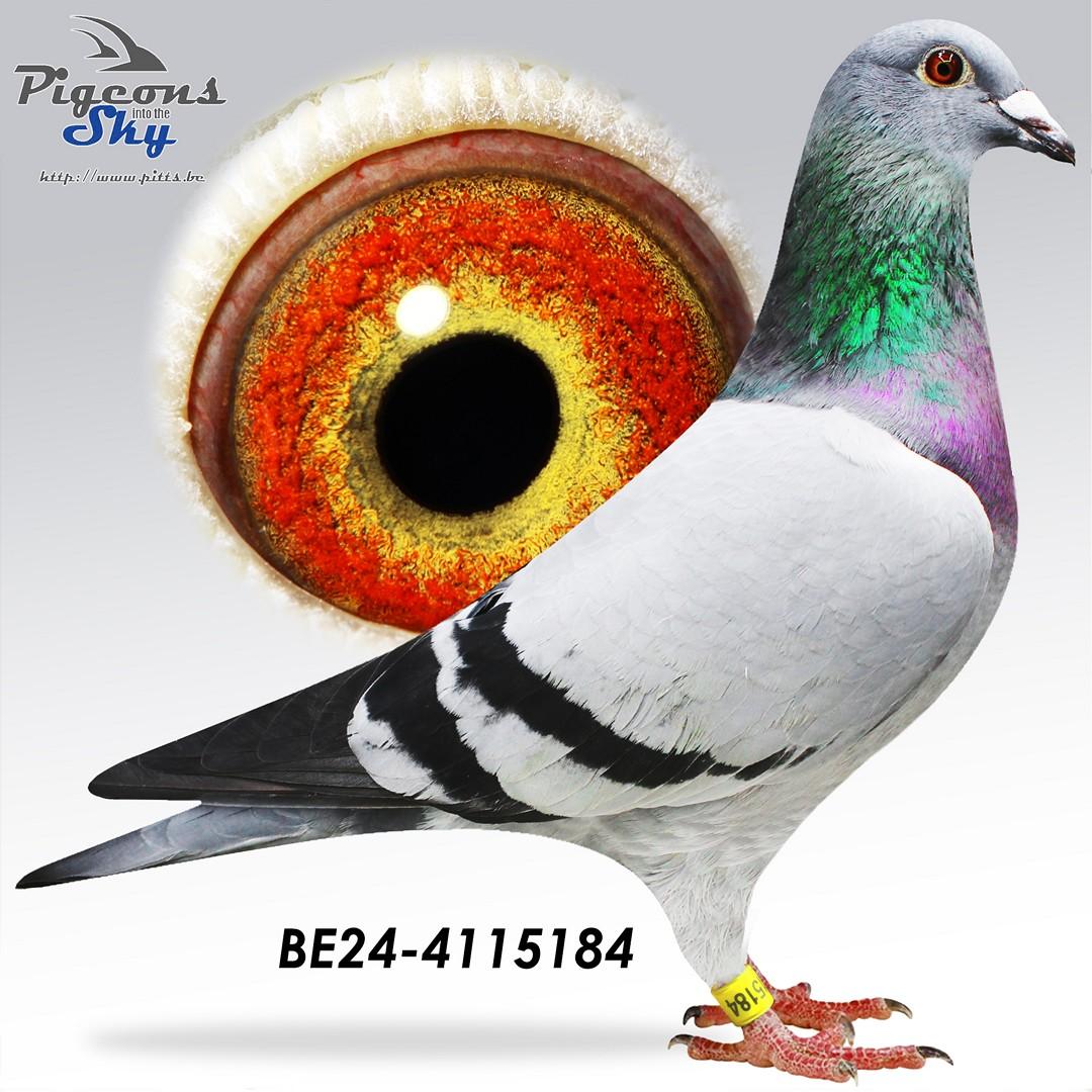 BE24-4115184