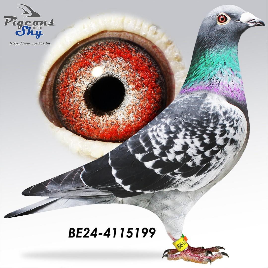 BE24-4115199