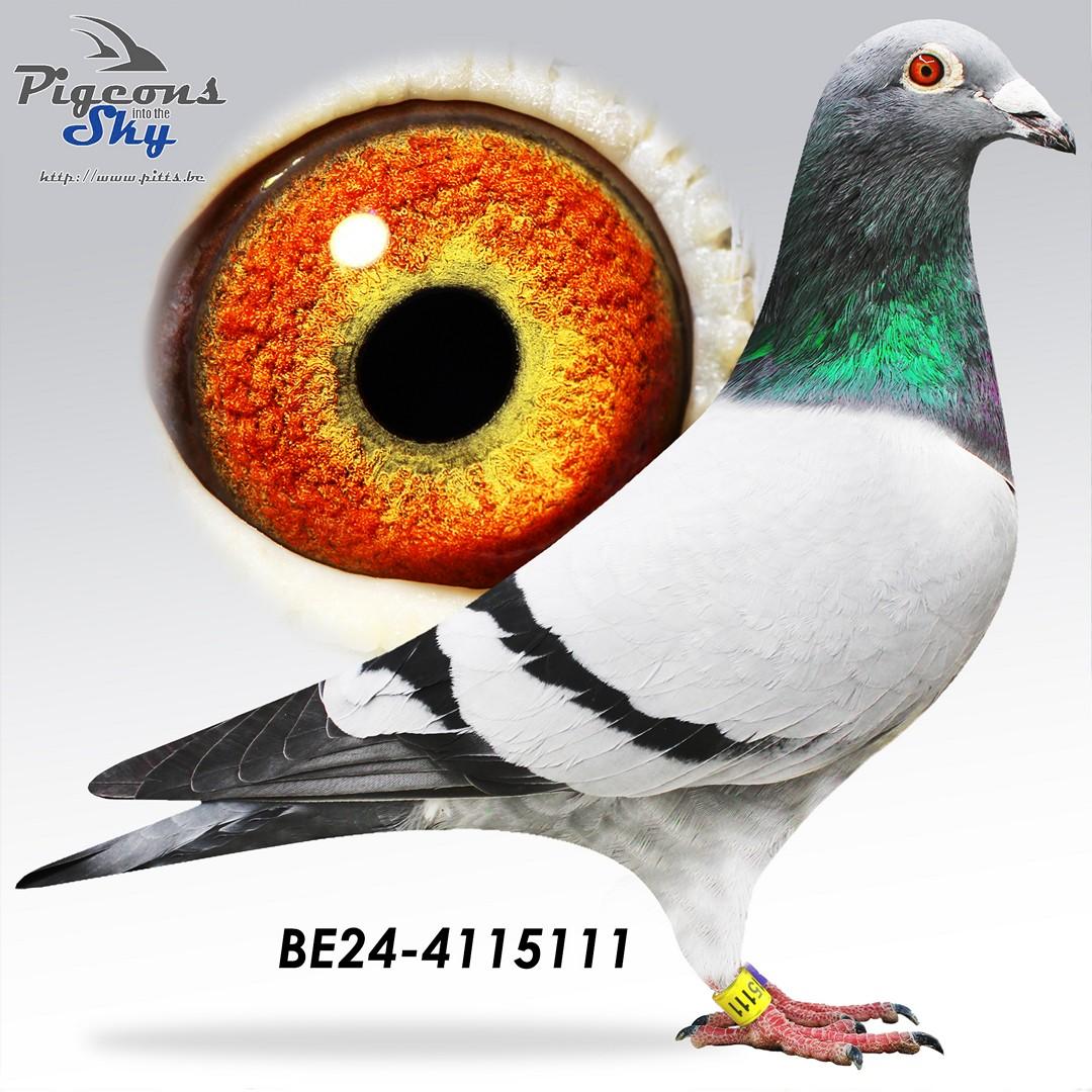 BE24-4115111