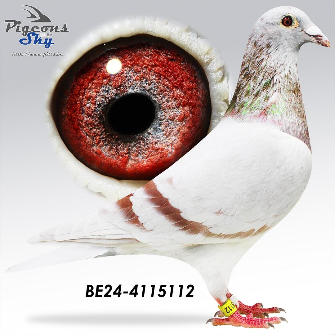 BE24-4115112