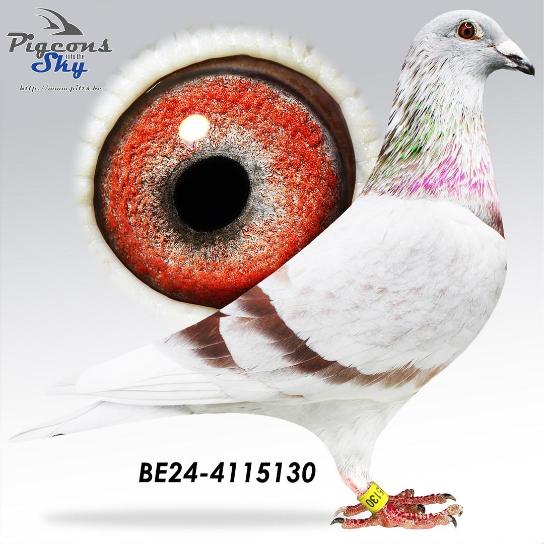 BE24-4115130