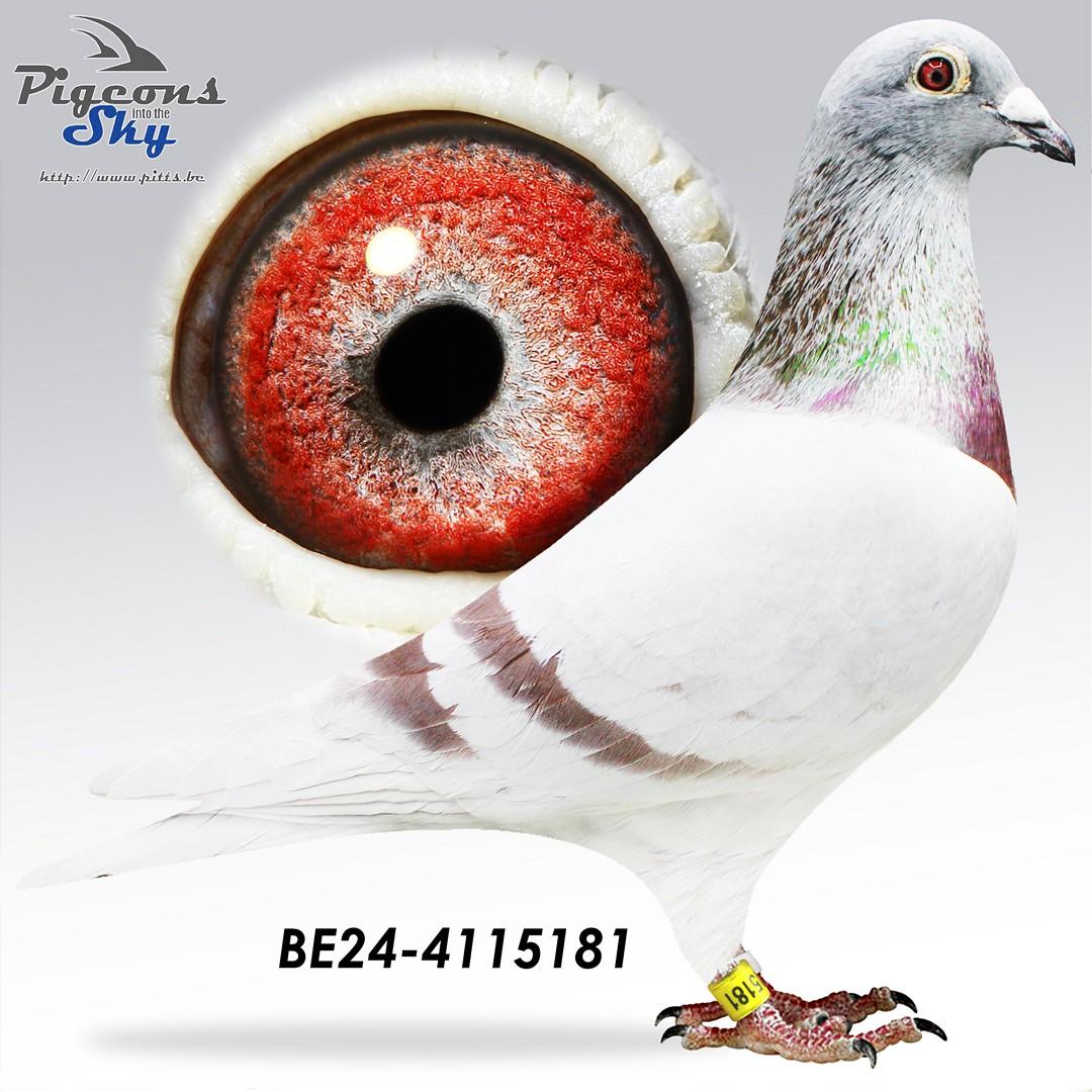 BE24-4115181