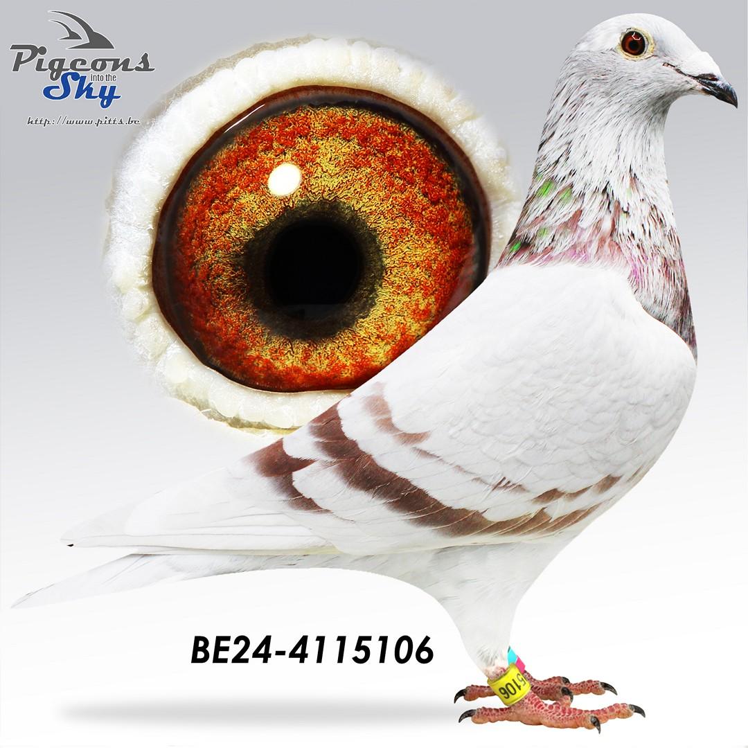 BE24-4115106