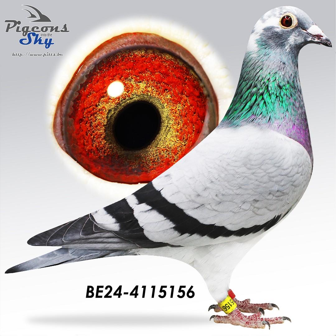 BE24-4115156