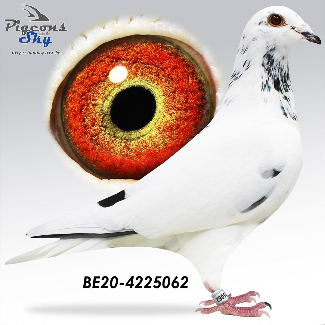 BE20-4225062