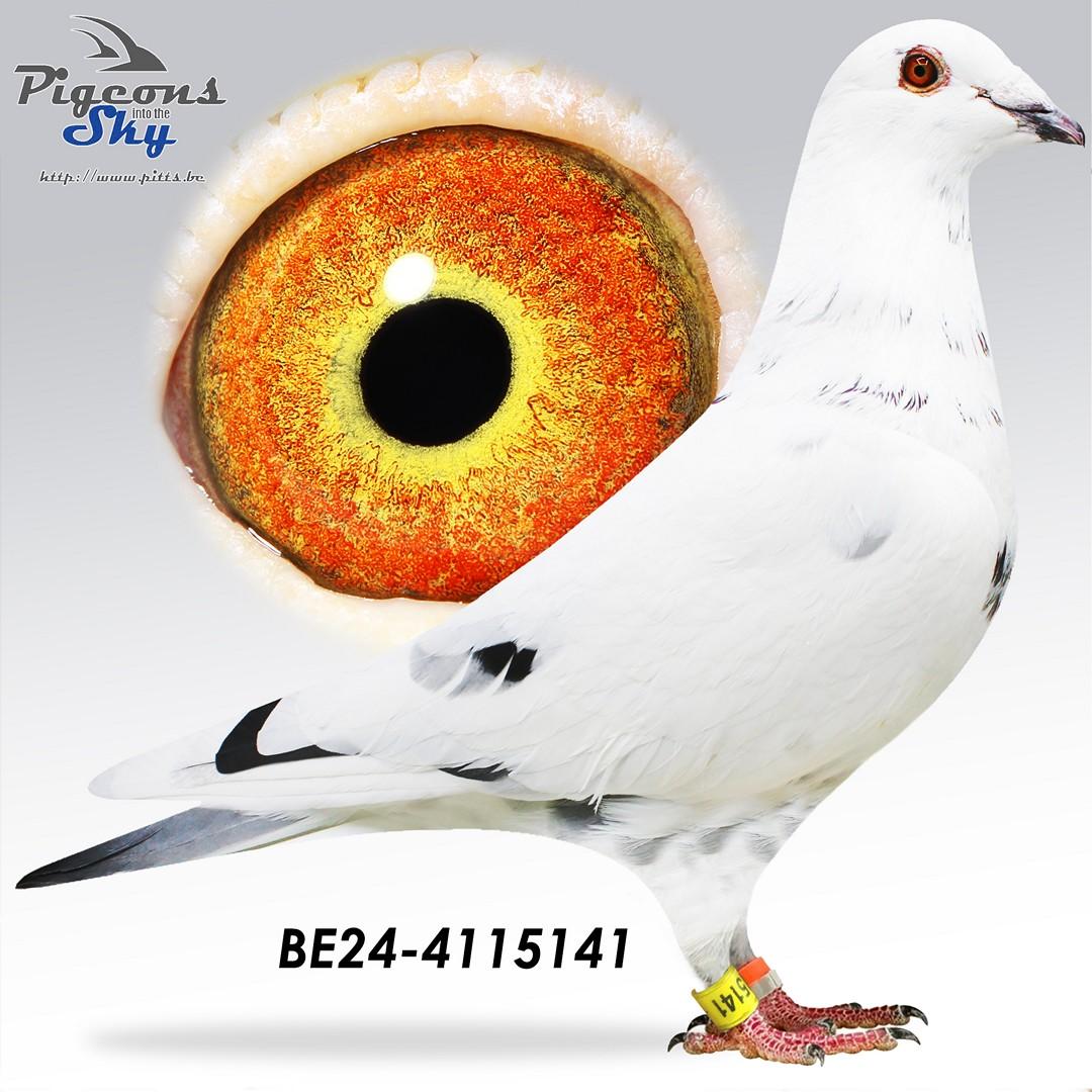 BE24-4115141