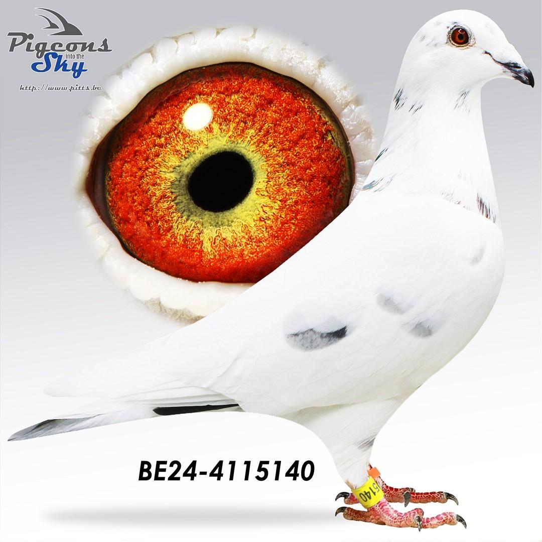 BE24-4115140