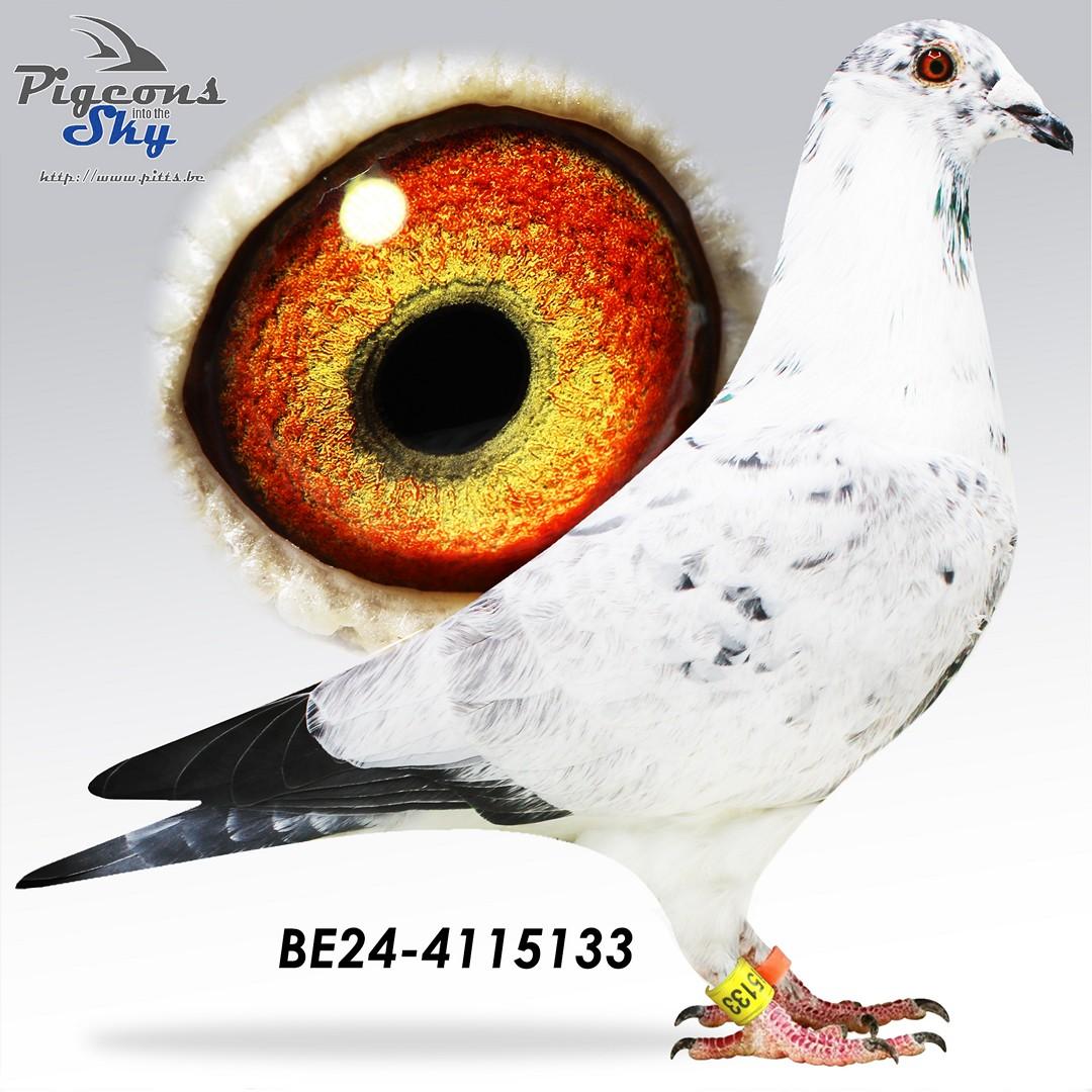 BE24-4115133