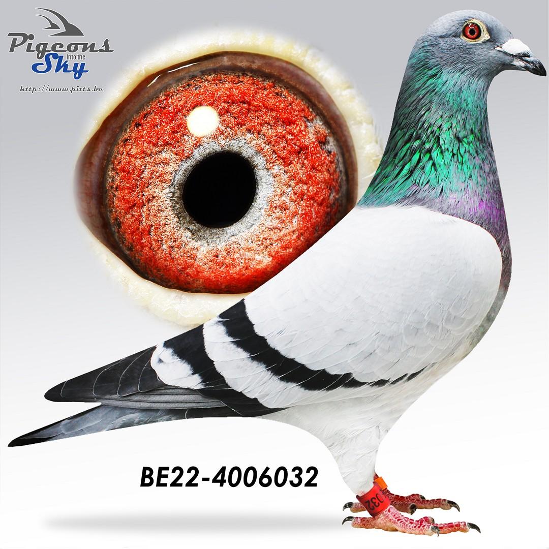 BE22-4006032