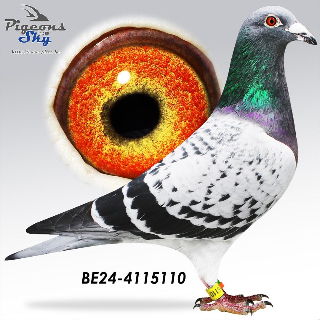 BE24-4115110