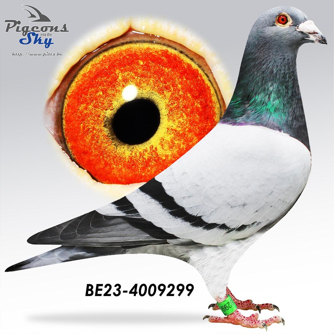 BE23-4009299