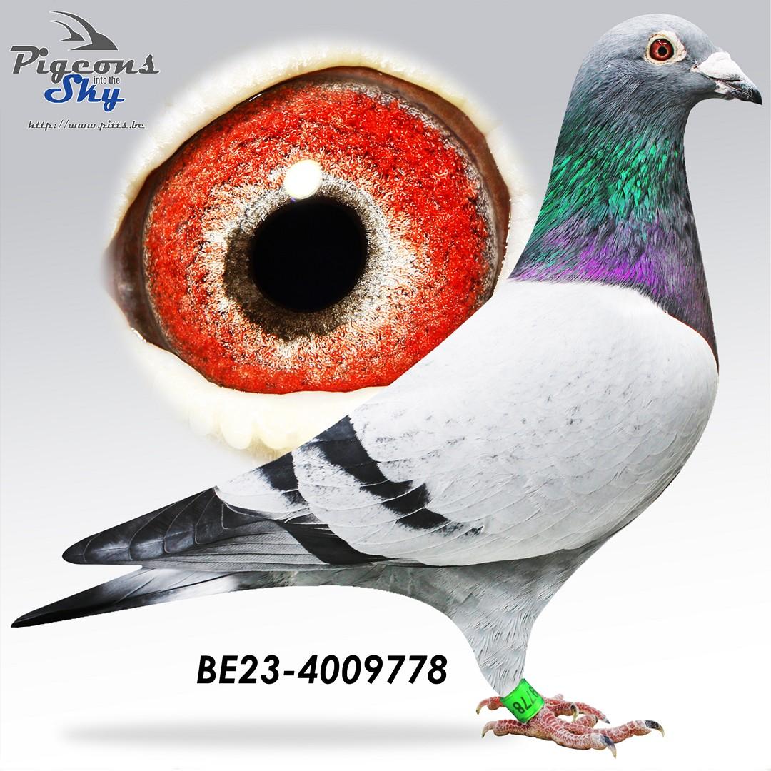 BE23-4009778