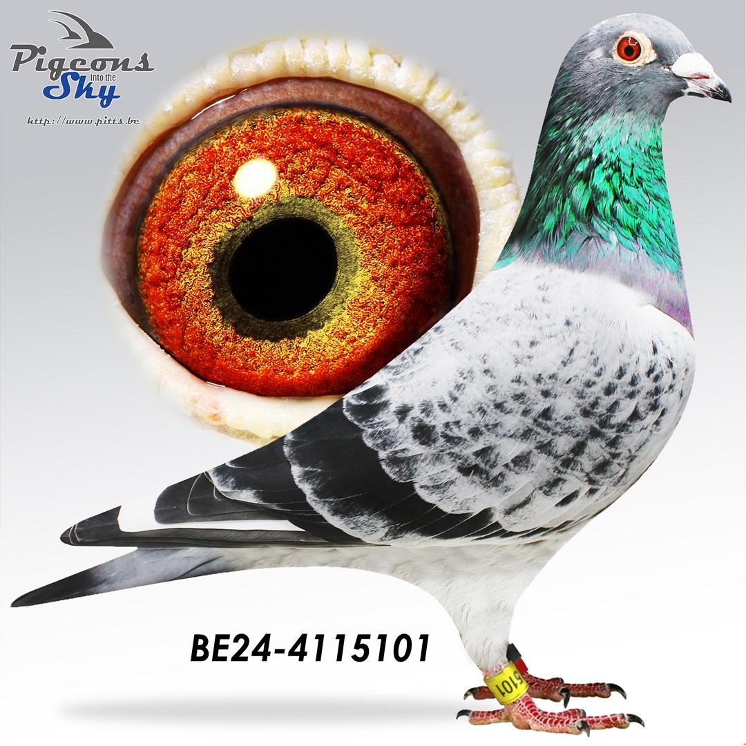 BE24-4115101
