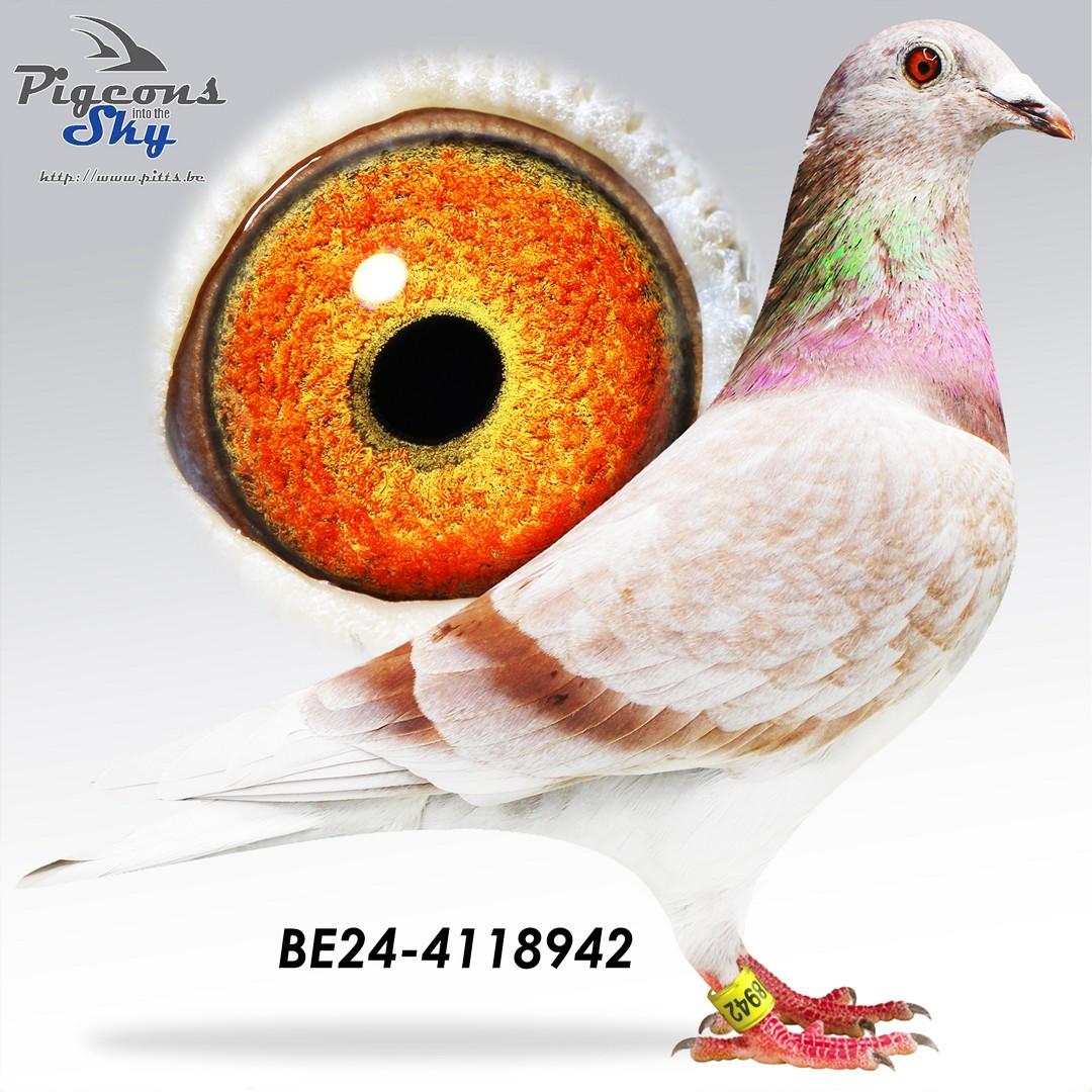 BE24-4118942