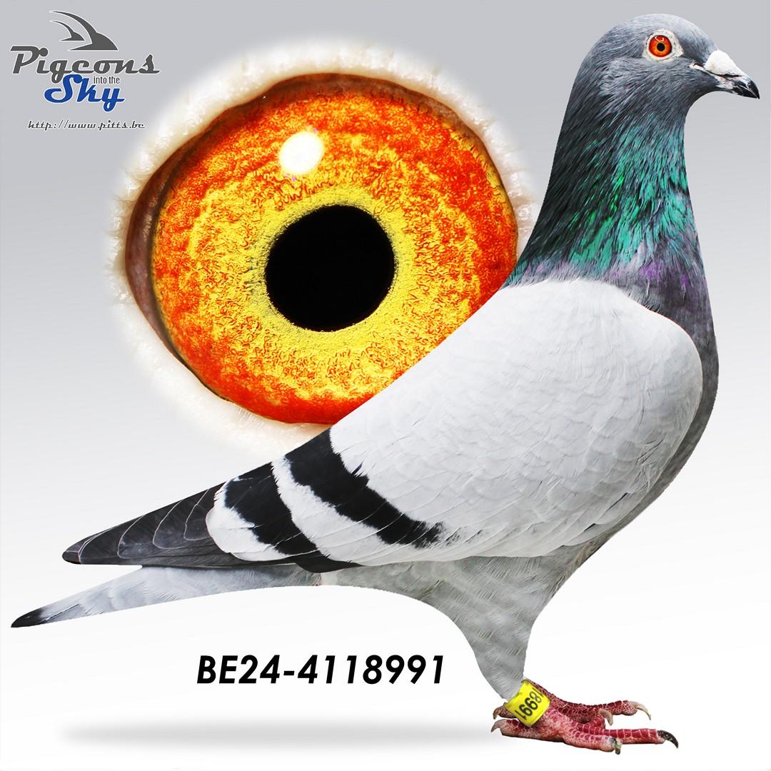 BE24-4118991