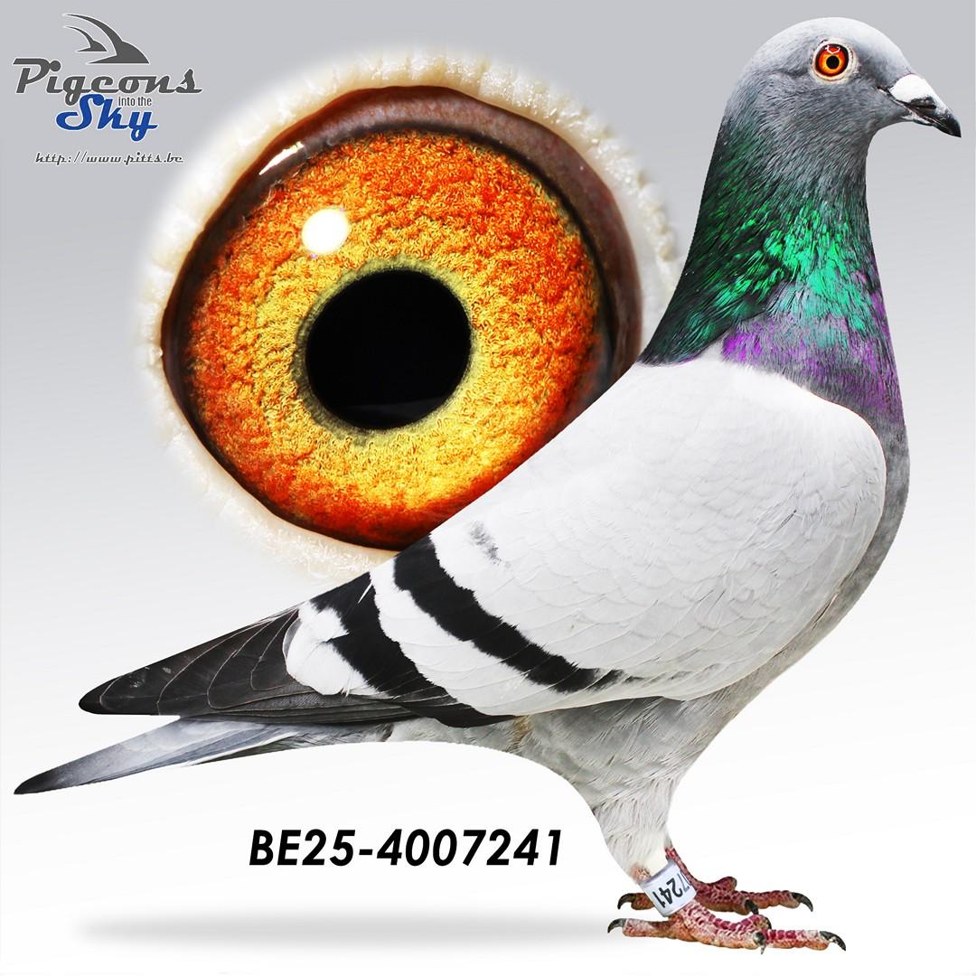 BE25-4007241