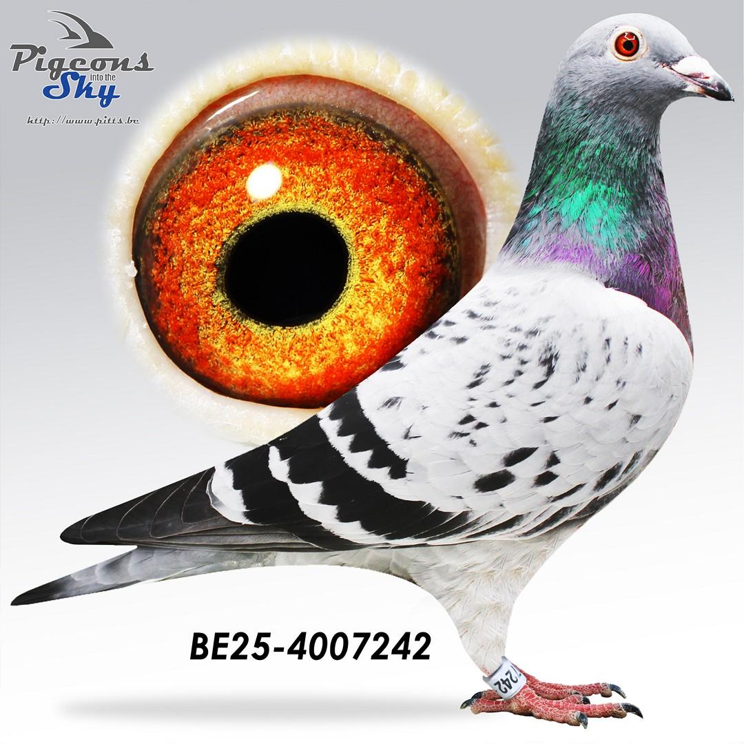 BE25-4007242