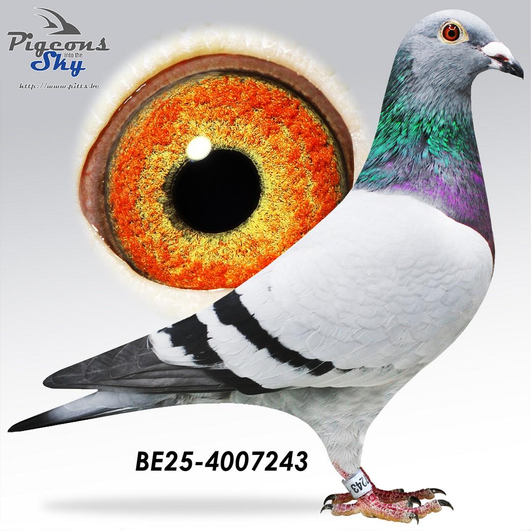 BE25-4007243