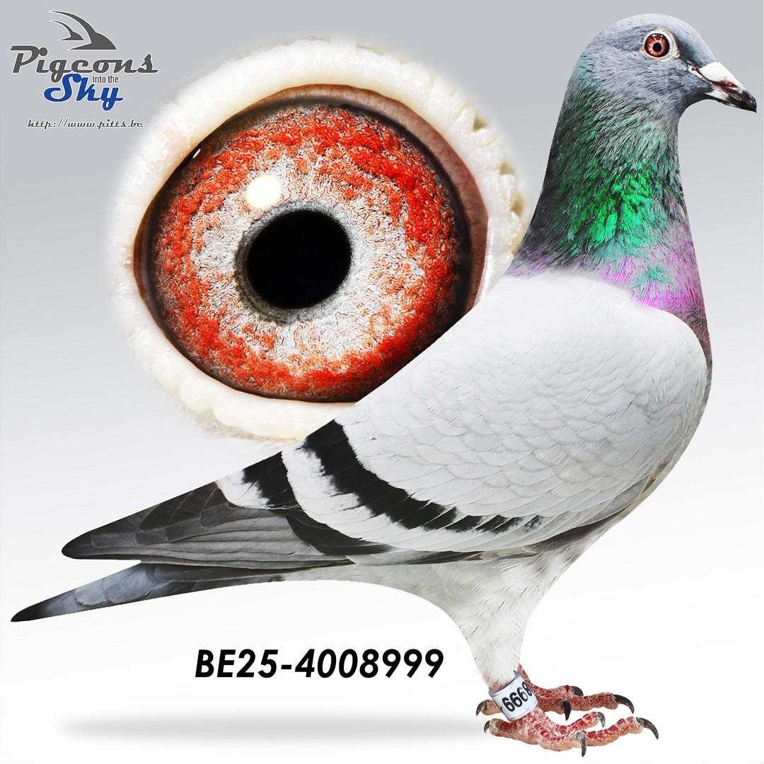 BE25-4008999