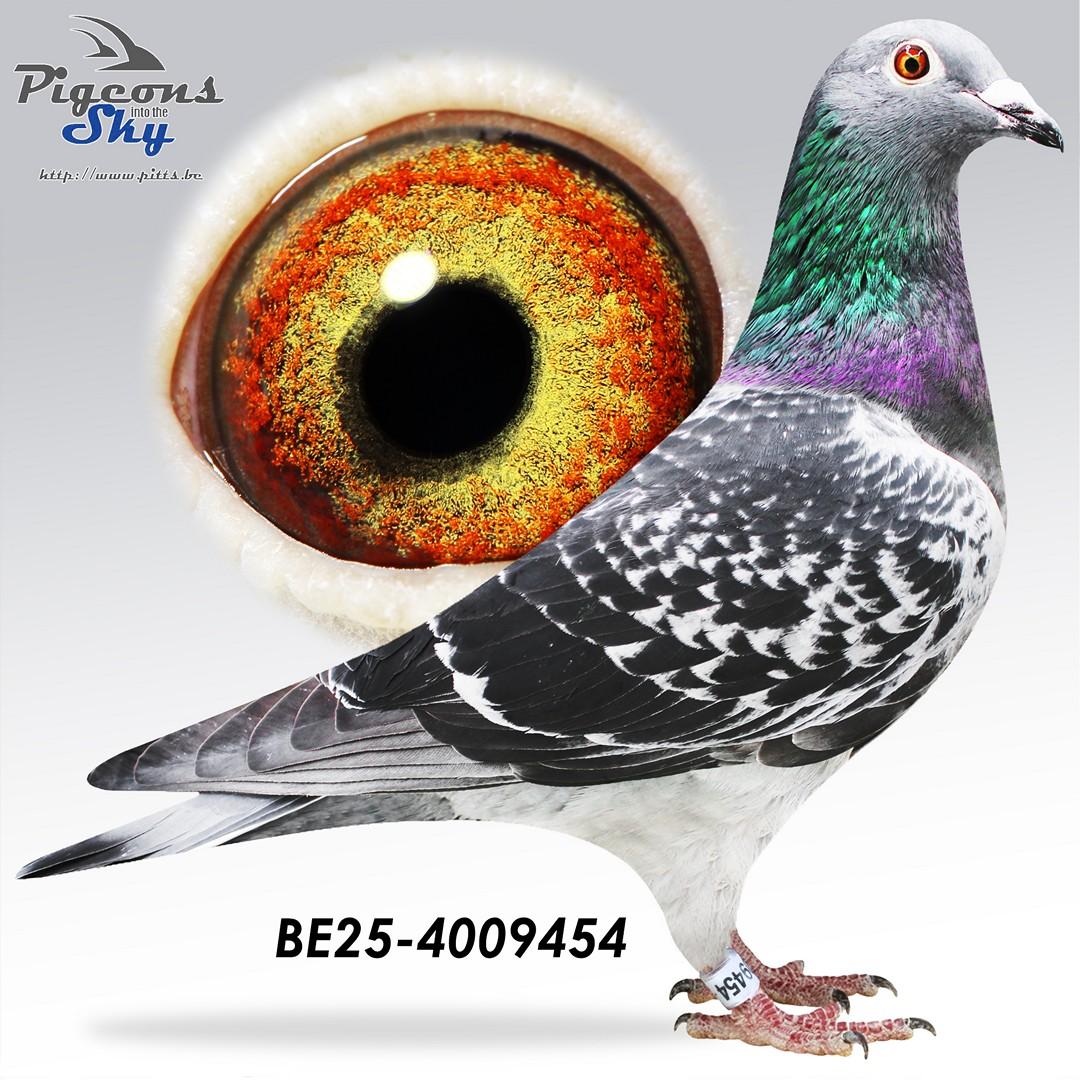 BE25-4009454