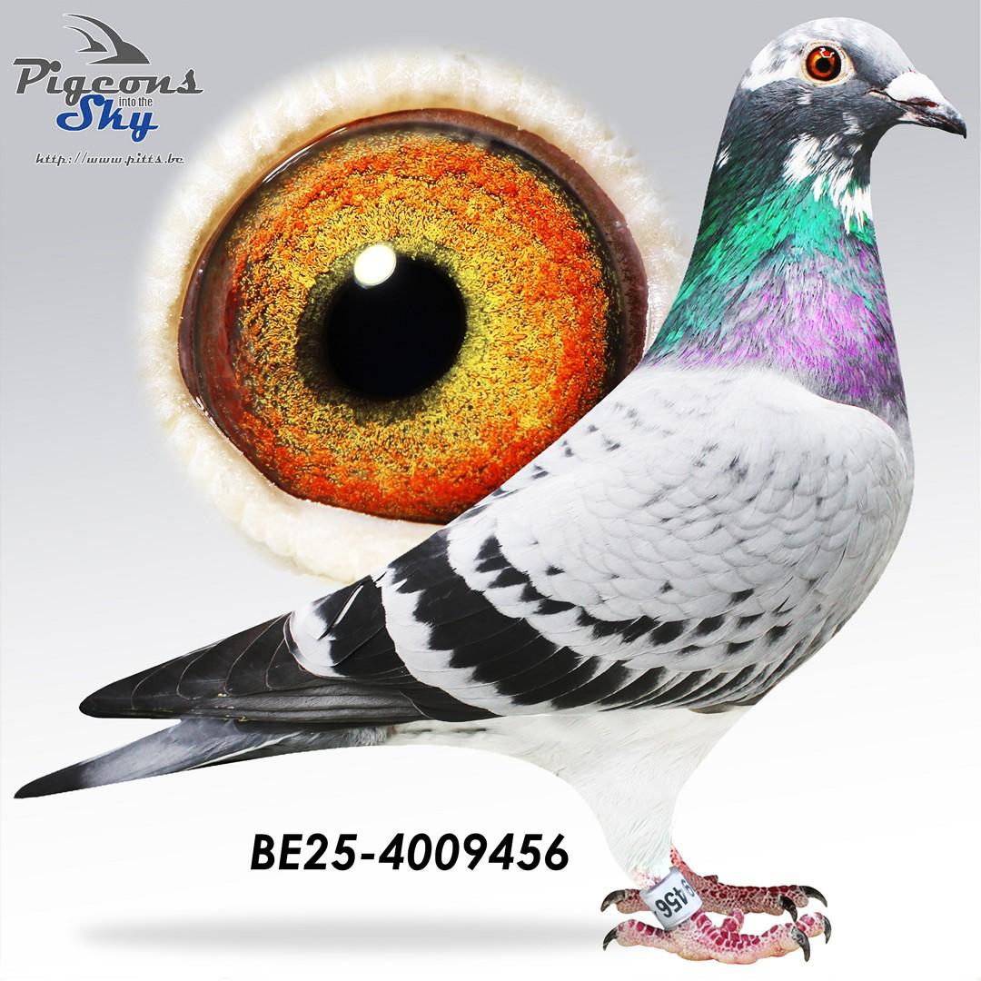 BE25-4009456