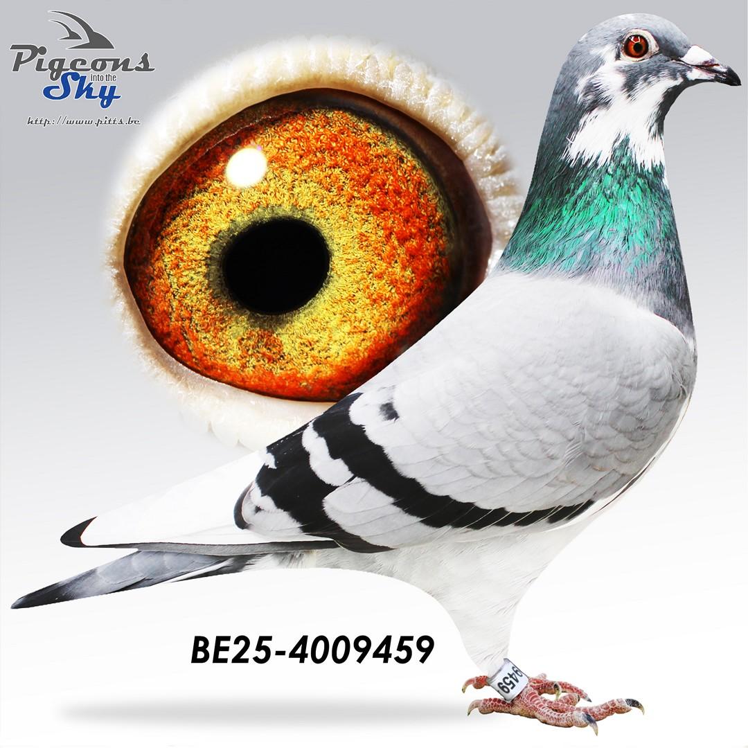 BE25-4009459