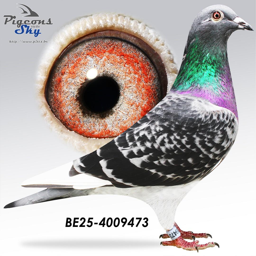 BE25-4009473
