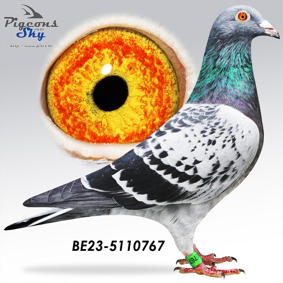 BE23-5110767