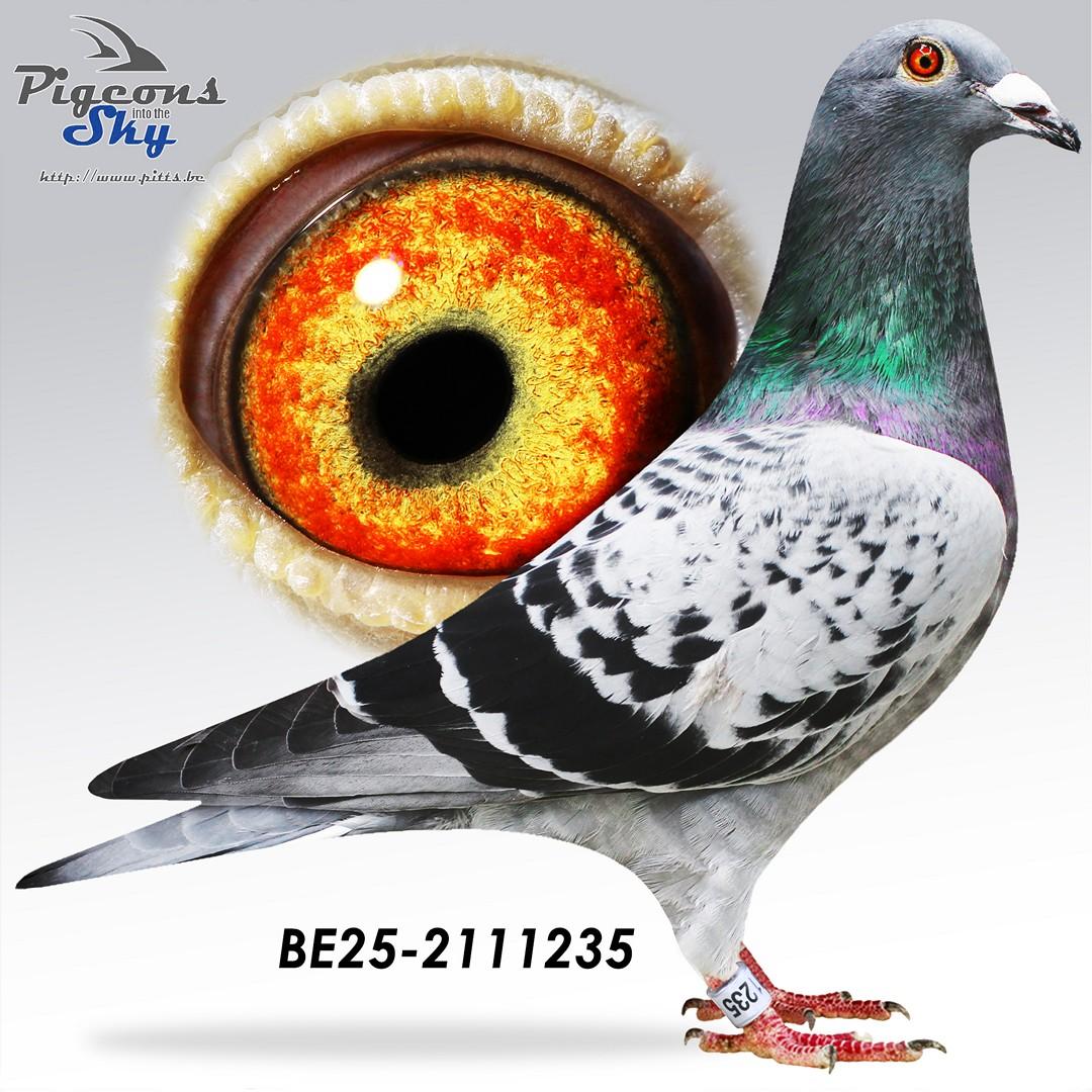 BE25-2111235