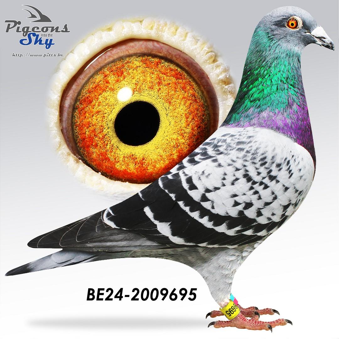 BE24-2009695