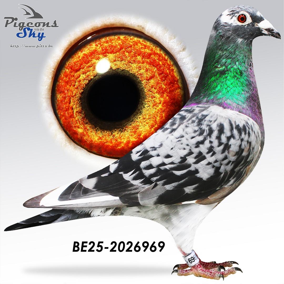 BE25-2026969